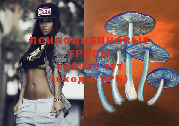 герыч Алзамай
