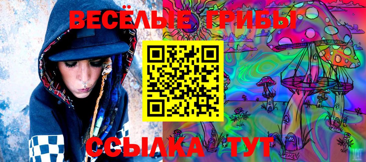 Галлюциногенные грибы MAGIC MUSHROOMS  Псилоцибиновые грибы прущие грибы  Вход с VPN  Ртищево 
