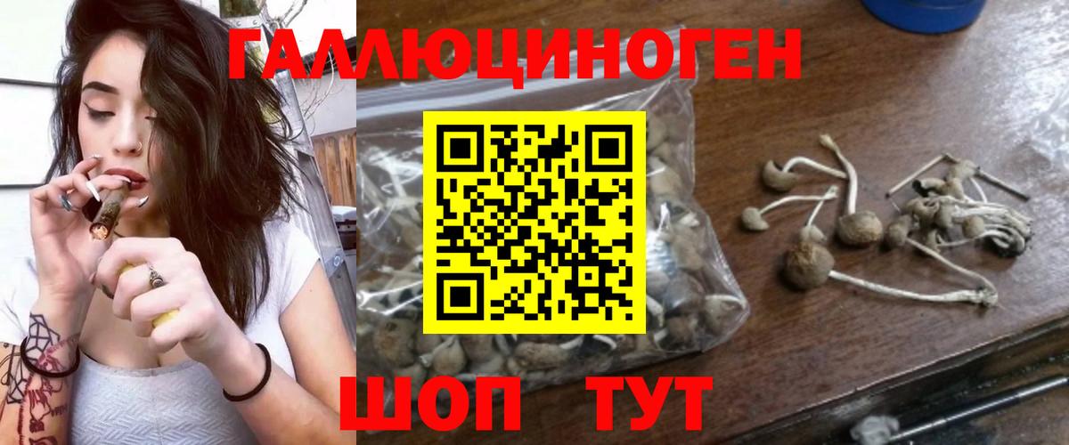 Галлюциногенные грибы мухоморы Ртищево